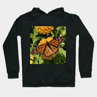 Monarch Butterfly Hoodie